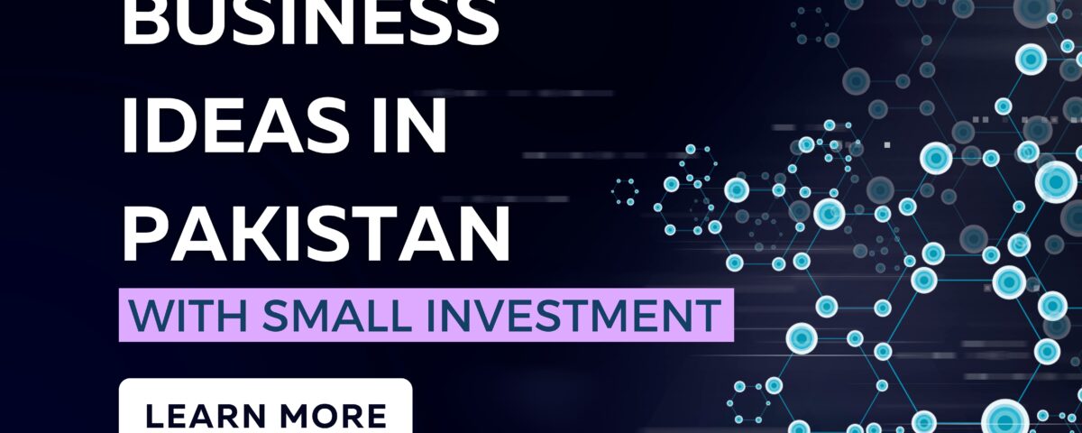 business ideas in pakistan with small investment