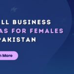 Small Business Ideas for Females in Pakistan | Bhatti Marketing